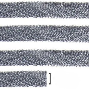 FITILHO 10 PRATA LARG10MM