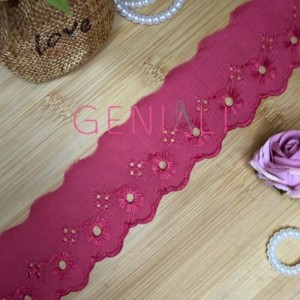 BORDADO LISO Y283 CEREJA 5,0CM